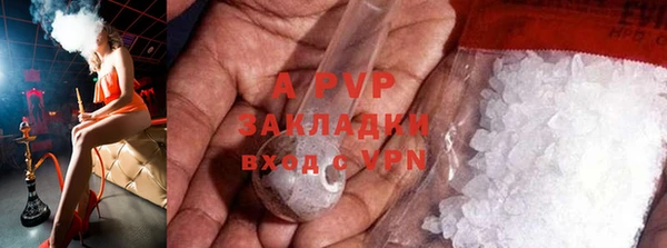 ПСИЛОЦИБИНОВЫЕ ГРИБЫ Верхний Тагил