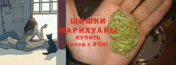 мет Бородино